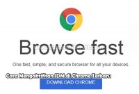 Cara Mengaktifkan IDM di Chrome